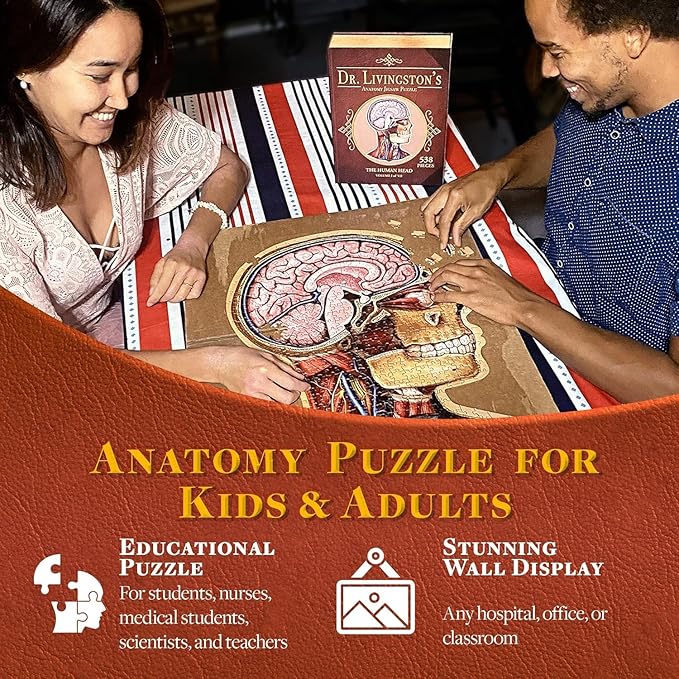 Genius Games Human Head Anatomy Puzzle - Adult Jigsaw Puzzles Unique Gifts for Kids Educational Science - 441 Piece Teen Floor Puzzle - Genius Games Dr. Livingston