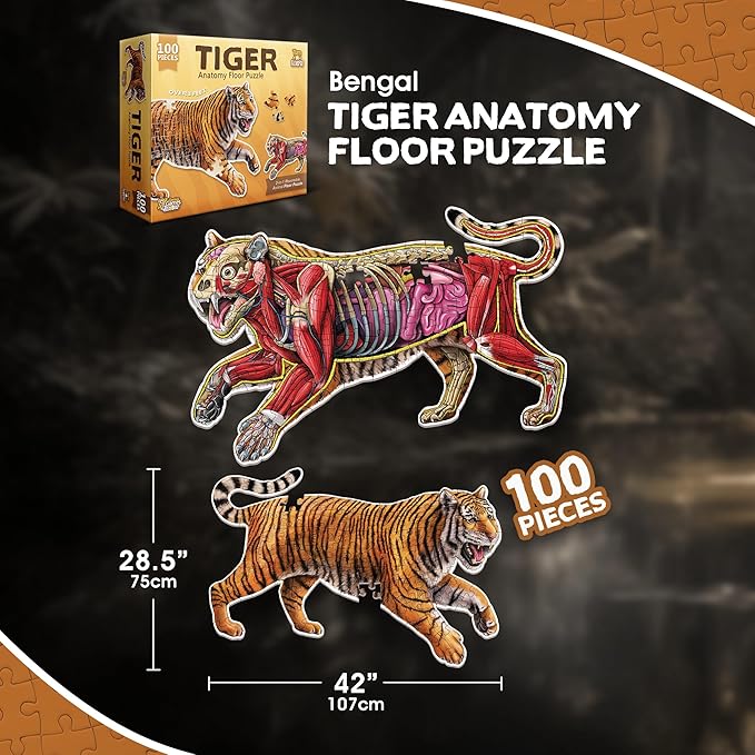 Tiger Animal Anatomy Floor Puzzle | 100-Piece Double Sided Jigsaw Puzzle | Large-Sized, Over 3 Feet Scientifically Accurate Illustration - Fun and Educational Toy for Kids, Toddlers and Families