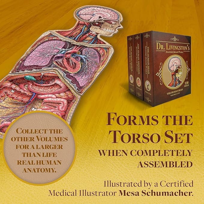 Genius Games Human Head Anatomy Puzzle - Adult Jigsaw Puzzles Unique Gifts for Kids Educational Science - 441 Piece Teen Floor Puzzle - Genius Games Dr. Livingston