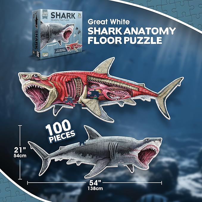Shark Animal Anatomy Floor Puzzle | 100-Piece Double Sided Jigsaw Puzzle | Large Floor Puzzles for Kids Ages 4-8, 3-5, 8-10 | Fun and Educational Toy for Kids, Toddlers and Families