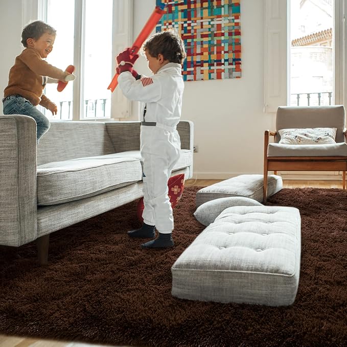 Amearea Premium Soft Fluffy Rug Modern Shag Carpet, 4x5.3 Feet, Fuzzy Shaggy Rugs for Bedroom Living Room Teen Apartment Decor, Comfortable Indoor Furry Dorm Carpets, Brown