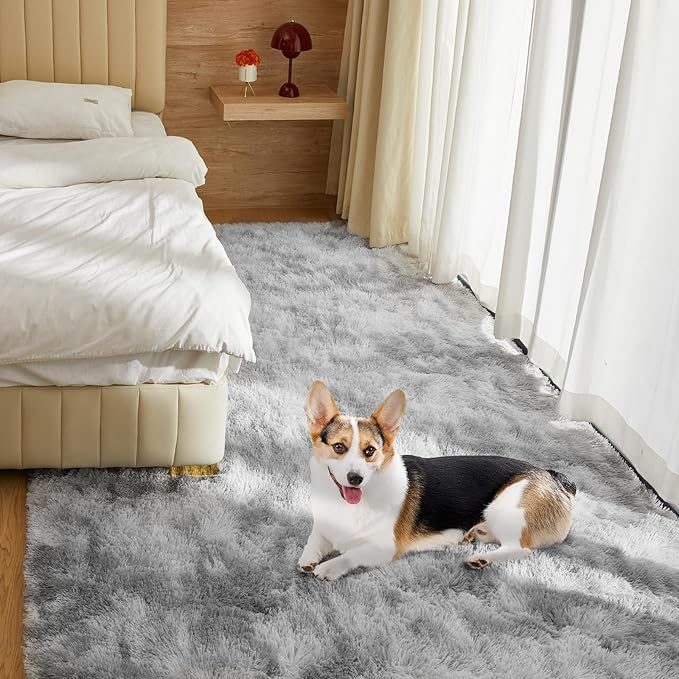 Ultra Soft Rug for Living Room, 4X6 Fluffy Shag Area Rug for Bedroom, Modern Shaggy Carpets Fuzzy Rug for Teens Dorm Nursery Home Decor Aesthetic, Upgrade Anti-Skid Durable, Tie-Dyed Light Grey