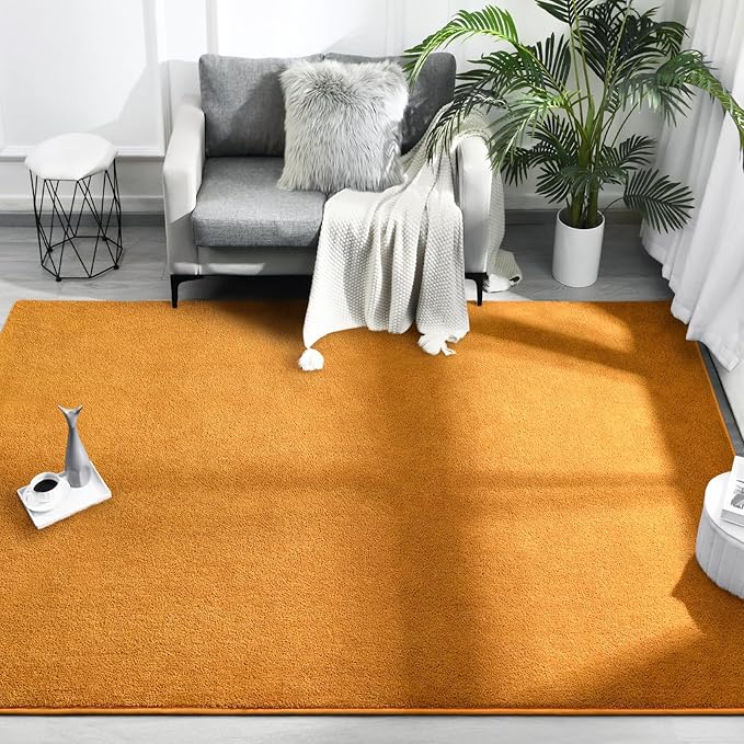 FlyDOIT Area Rugs for Bedroom Living Room, 5x8 Orange Super Soft Comfy Thickened Memory-Foam Indoor Carpets, Modern Aesthetic Minimalist Carpet for Boys Girls Adults Apartment Nursery Home Décor