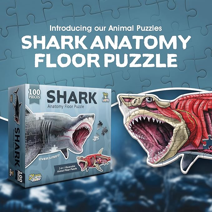 Shark Animal Anatomy Floor Puzzle | 100-Piece Double Sided Jigsaw Puzzle | Large Floor Puzzles for Kids Ages 4-8, 3-5, 8-10 | Fun and Educational Toy for Kids, Toddlers and Families