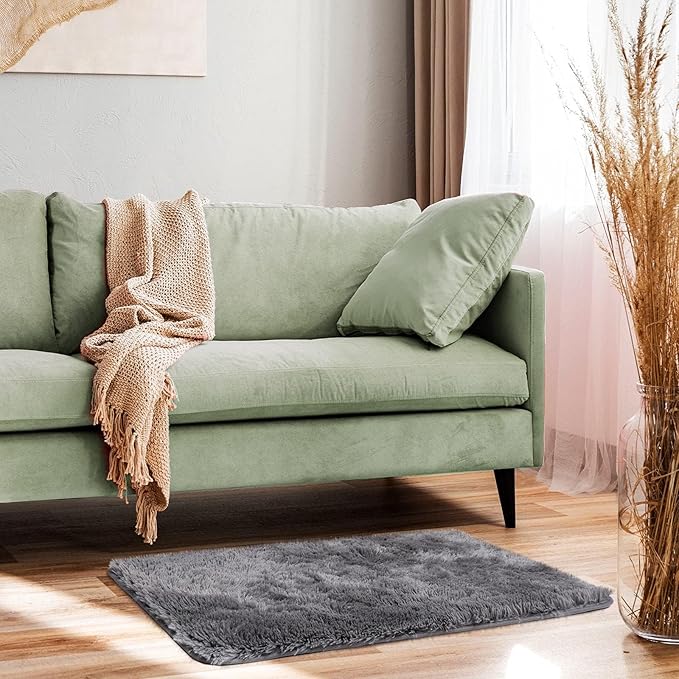 Ophanie Small Area Rug Throw Non Slip Rugs for Bedroom, Mini Fluffy Grey Carpet, Affordable Door Entryway Indoor Inside Front Entrance Dog 2x3 Mat, Home Decor Aesthetic, Nursery