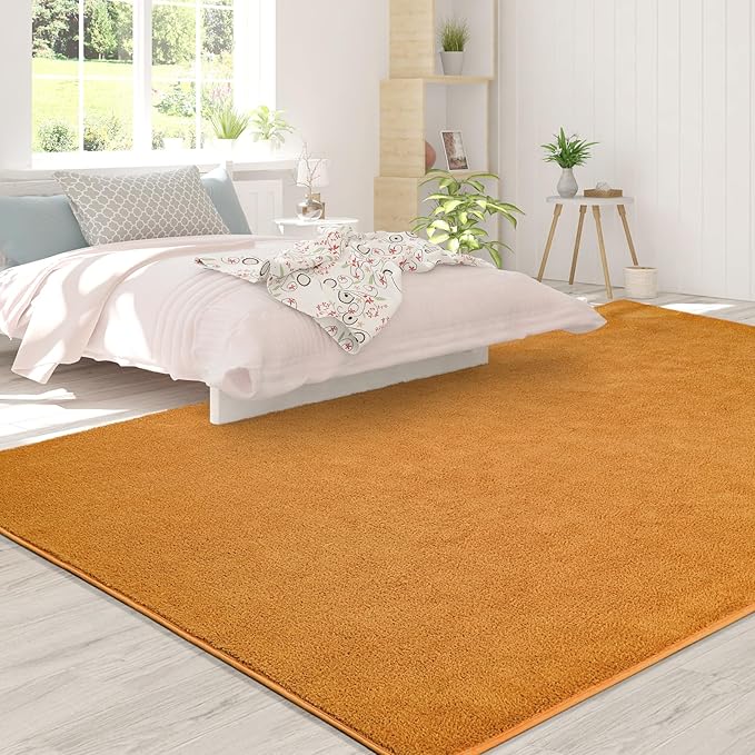 FlyDOIT Area Rugs for Bedroom Living Room, 5x8 Orange Super Soft Comfy Thickened Memory-Foam Indoor Carpets, Modern Aesthetic Minimalist Carpet for Boys Girls Adults Apartment Nursery Home Décor