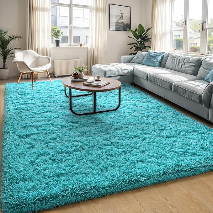 Teal Blue Fluffy Soft Living Room Bedroom Rug, 4x6 Area Rugs Super Soft Shaggy Carpet for Living Room Classroom Kids Babys Playroom Toddler Nursery Dorm Home Decor, Modern Indoor Non Slip Rug