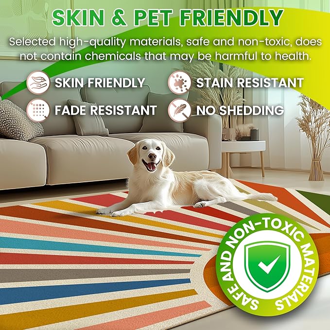 Washable 4x6 Sun Area Rug for Living Room, Rainbow Sun Modern Boho Large Area Rugs, Ultra Thin Low Pile Lightweight Soft Indoor Floor Carpet with Non-Slip Backing for Bedroom Kids Nursery Play Room