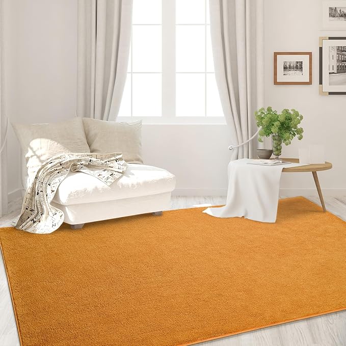 FlyDOIT Area Rugs for Bedroom Living Room, 5x8 Orange Super Soft Comfy Thickened Memory-Foam Indoor Carpets, Modern Aesthetic Minimalist Carpet for Boys Girls Adults Apartment Nursery Home Décor