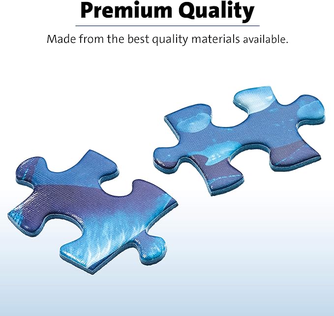 Ravensburger Aimee Stewart A Pirate’s Life 1000 Piece Jigsaw Puzzle for Adults & Kids Age 12 Years Up