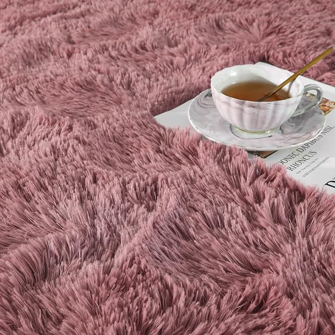 Ompaa Fluffy Rug, Super Soft Fuzzy Area Rugs for Bedroom Living Room - 3' x 5' Large Plush Furry Shag Rug - Kids Playroom Nursery Classroom Dining Room Decor Floor Carpet, Blush