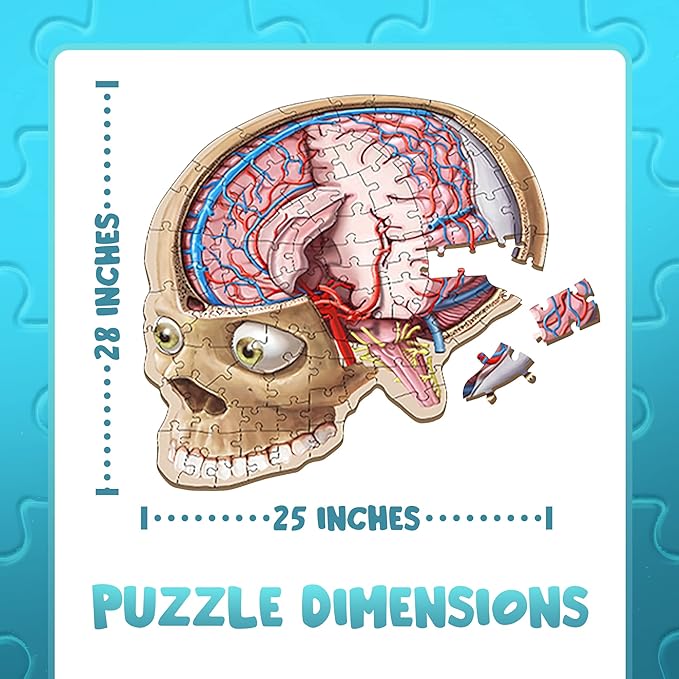 Human Brain Floor Puzzle - Doctor Livingston Jr Anatomy Model - 100 Piece Jigsaw Puzzle - Kids Puzzle and STEM Game About Brain - Medically Accurate Science Toys for Kids, Toddlers, Teens