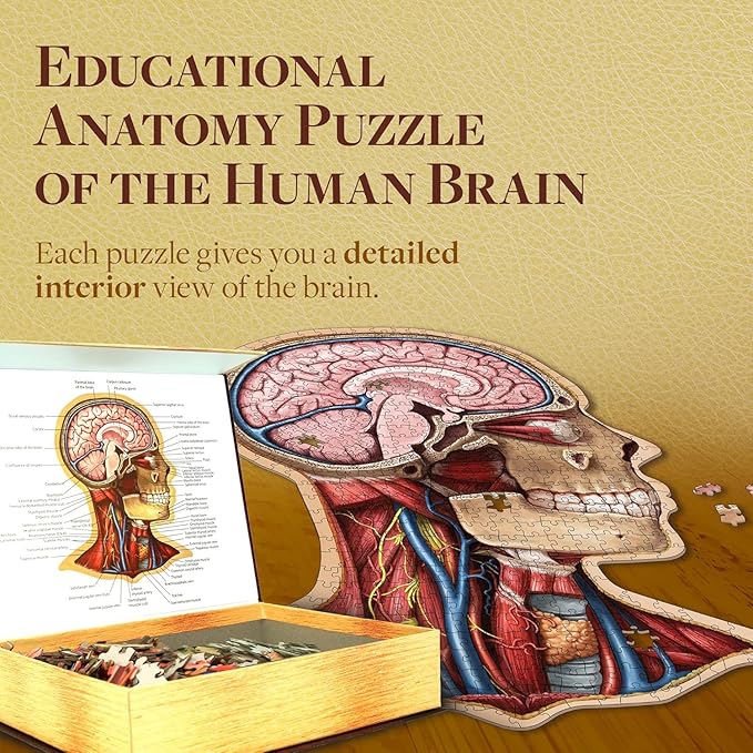 Genius Games Human Head Anatomy Puzzle - Adult Jigsaw Puzzles Unique Gifts for Kids Educational Science - 441 Piece Teen Floor Puzzle - Genius Games Dr. Livingston