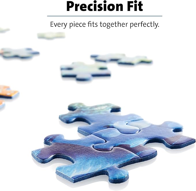 Ravensburger Aimee Stewart A Pirate’s Life 1000 Piece Jigsaw Puzzle for Adults & Kids Age 12 Years Up