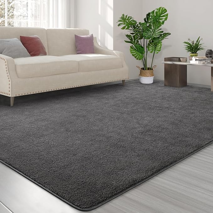 FlyDOIT Area Rugs for Bedroom Living Room, 7x10 Dark Grey Super Soft Comfy Thickened Memory-Foam Indoor Carpets, Modern Aesthetic Minimalist Carpet for Boys Girls Adults Apartment Nursery Home Décor