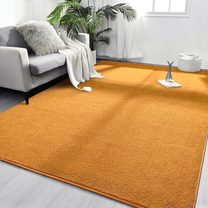 FlyDOIT Area Rugs for Bedroom Living Room, 4x6 Orange Super Soft Comfy Thickened Memory-Foam Indoor Carpets, Modern Aesthetic Minimalist Carpet for Boys Girls Adults Apartment Nursery Home Décor