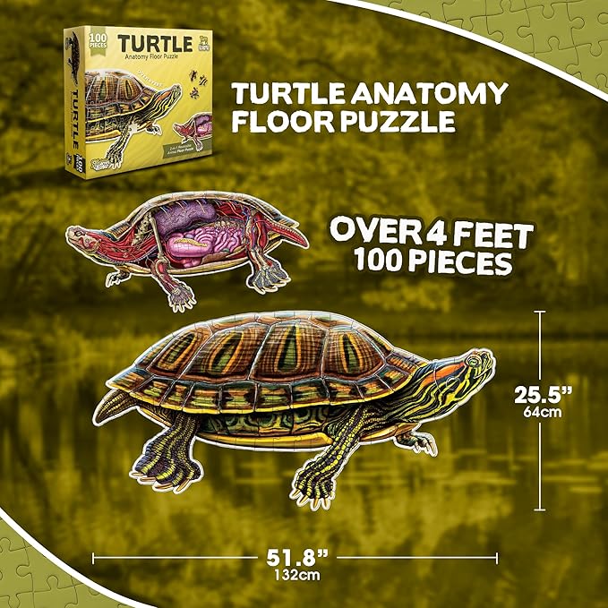 Turtle Animal Anatomy Floor Puzzle | 100-Piece Double Sided Jigsaw Puzzle | Large-Sized, Over 4 Feet Scientifically Accurate Illustration - Fun and Educational Toy for Kids, Toddlers and Families