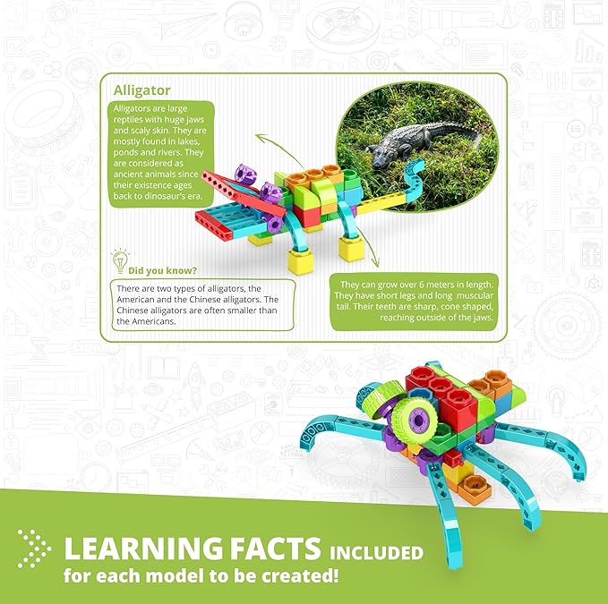 Engino: Qboidz Alligator - 5 Model Brick Building Set, Toy Construction, Coloring & Math Activities, Stack & Click Assembly, STEM Play-Learn, Kids 3+