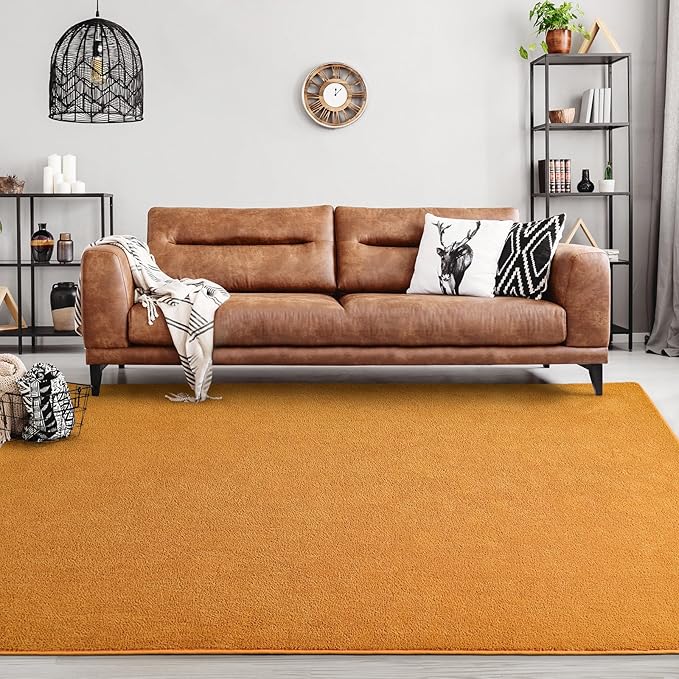 FlyDOIT Area Rugs for Bedroom Living Room, 4x6 Orange Super Soft Comfy Thickened Memory-Foam Indoor Carpets, Modern Aesthetic Minimalist Carpet for Boys Girls Adults Apartment Nursery Home Décor