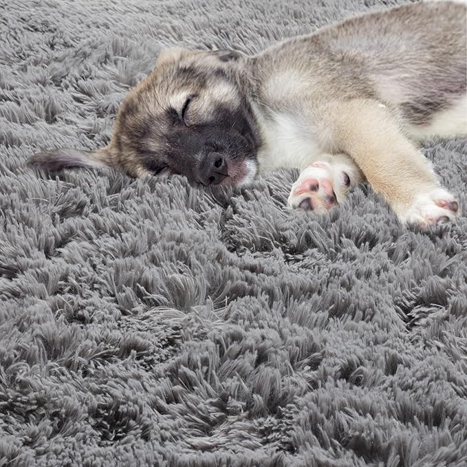 ONASAR Grey Round Area Rug 4ft, Gray Soft Bedroom Circle Throw Rugs for Kids Girls Boys Teen Dorm Room, Fluffy Plush Shaggy Carpet Mats for Nursery Living Room Playroom Home Office Decor Aesthetic