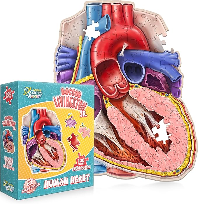 Human Heart Anatomy Floor Puzzle — Genius Games Doctor Livingston Jr Anatomy Toy - Kids Puzzles & Science Toys - Human Heart Anatomy Model - 100 Piece Jigsaw Puzzles for Kids, Toddlers, Teens