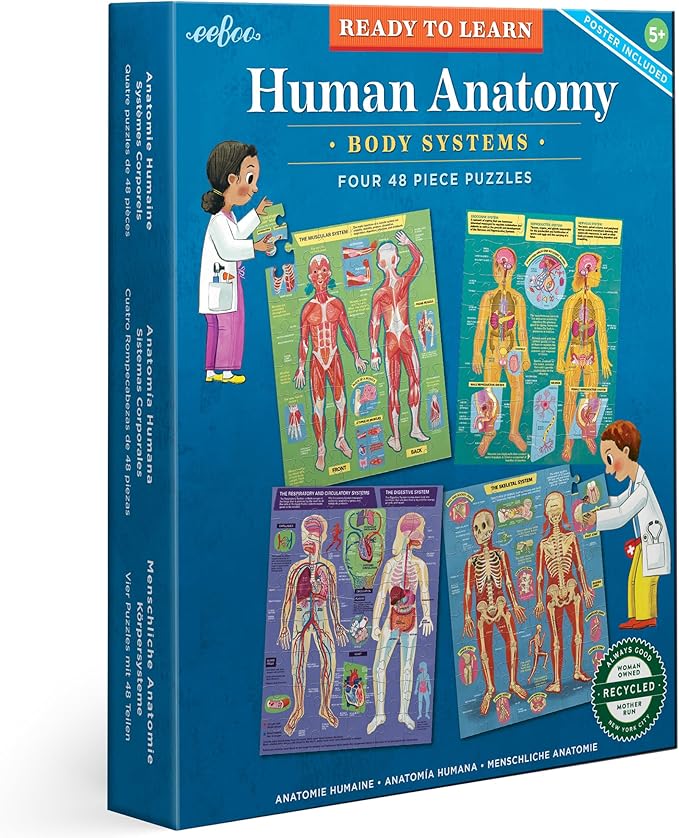 eeBoo: Ready to Learn: Human Anatomy 4-Puzzles - Body Systems Set of 4-48 Piece Jigsaws, Includes Educational Poster, Kids Ages 8+