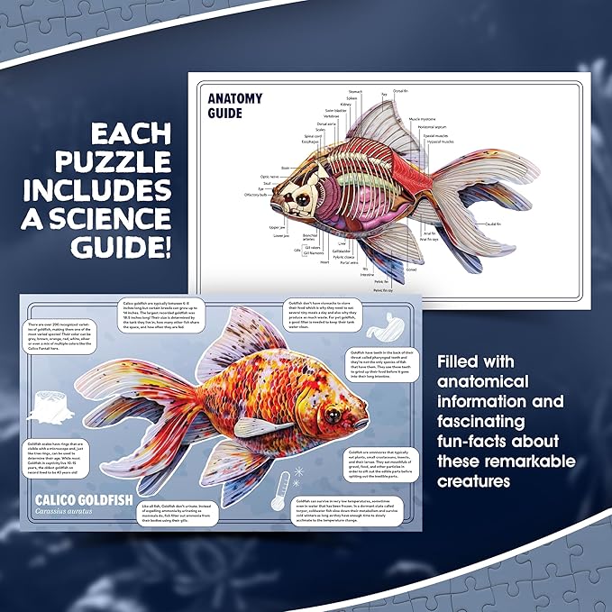 Goldfish Animal Anatomy Floor Puzzle | 100-Piece Double Sided Jigsaw Puzzle | Large-Sized, Over 4 Feet Scientifically Accurate Illustration - Fun and Educational Toy for Kids, Toddlers and Families