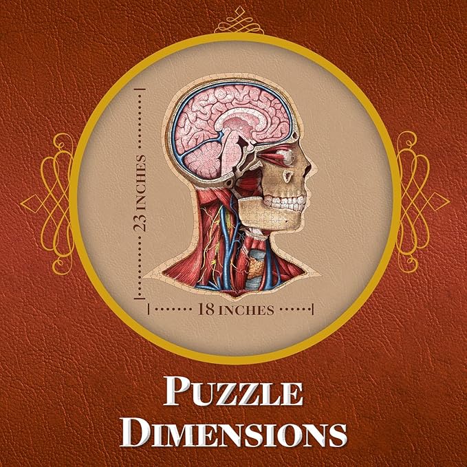 Genius Games Human Head Anatomy Puzzle - Adult Jigsaw Puzzles Unique Gifts for Kids Educational Science - 441 Piece Teen Floor Puzzle - Genius Games Dr. Livingston