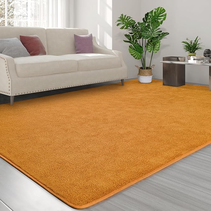 FlyDOIT Area Rugs for Bedroom Living Room, 5x8 Orange Super Soft Comfy Thickened Memory-Foam Indoor Carpets, Modern Aesthetic Minimalist Carpet for Boys Girls Adults Apartment Nursery Home Décor