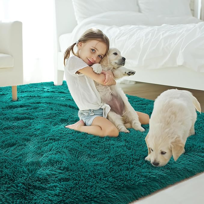 Amearea Blue and Green Shag Area Rug 5' x 7' - Luxury Soft Plush Fuzzy Carpet for Living Room, Indoor Fluffy Teal Green Large Rugs for Bedroom Nursery Non Slip Shaggy Carpets Home Decor