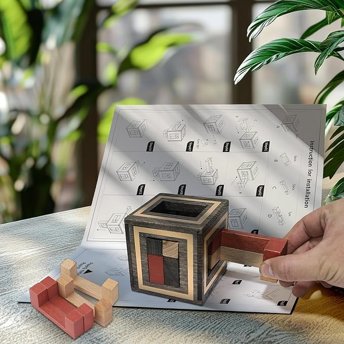 Sharp Brain Zone Wooden Brain Teaser Puzzles for Adults & Kids (Magic Box)