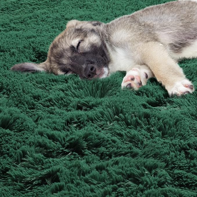 ONASAR Dark Green Round Area Rug 4x4, Soft Bedroom Circle Rugs for Kids Girls Teen Room, Cute Furry Plush Shaggy Carpet for Baby Nursery Living Room Playroom Dorm Christmas Home Decor