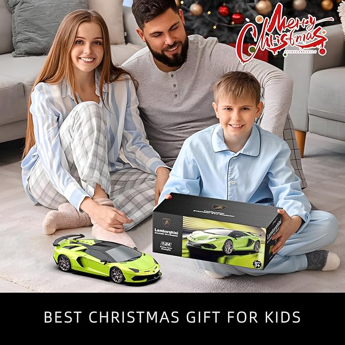 Lamborghini Remote Control Car, 1:24 Scale Electric Sport Racing Hobby Toy Car Lamborghini Model Vehicle for Boys Girls Birthday Gifts, Green