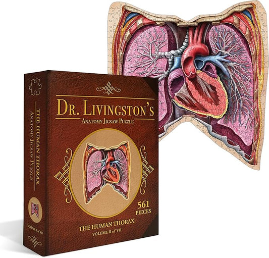 Human Thorax Anatomy Puzzle - Adult Jigsaw Puzzles Unique Gifts for Kids, Nurses, Doctors, Medical Students, Educational Science - 411 Piece Teen Floor Puzzle - Genius Games Dr. Livingston Body Model