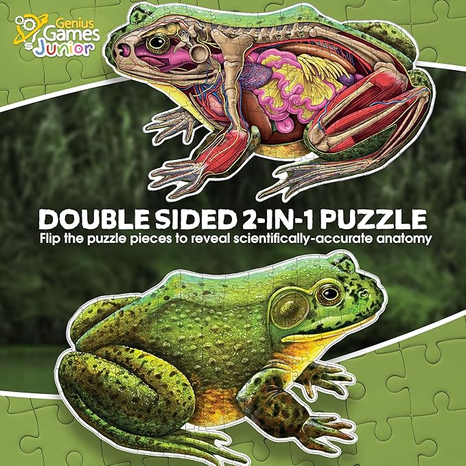 Bullfrog Animal Anatomy Floor Puzzle | 100-Piece Double Sided Jigsaw Puzzle | Large-Sized, Over 4 Feet Scientifically Accurate Illustration of Frog - Fun and Educational Toy for Kids, Toddlers