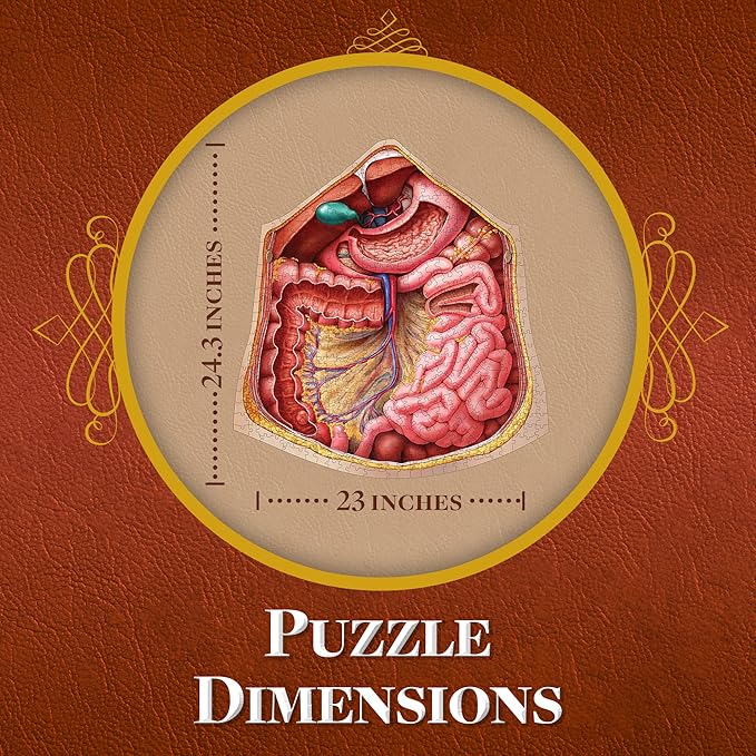 Genius Games Human Abdomen Anatomy Jigsaw Puzzle | Dr Livingston's Unique Shaped Science Puzzles, Accurate Medical Illustrations of the Body, Organs, Stomach, Liver and Intestines