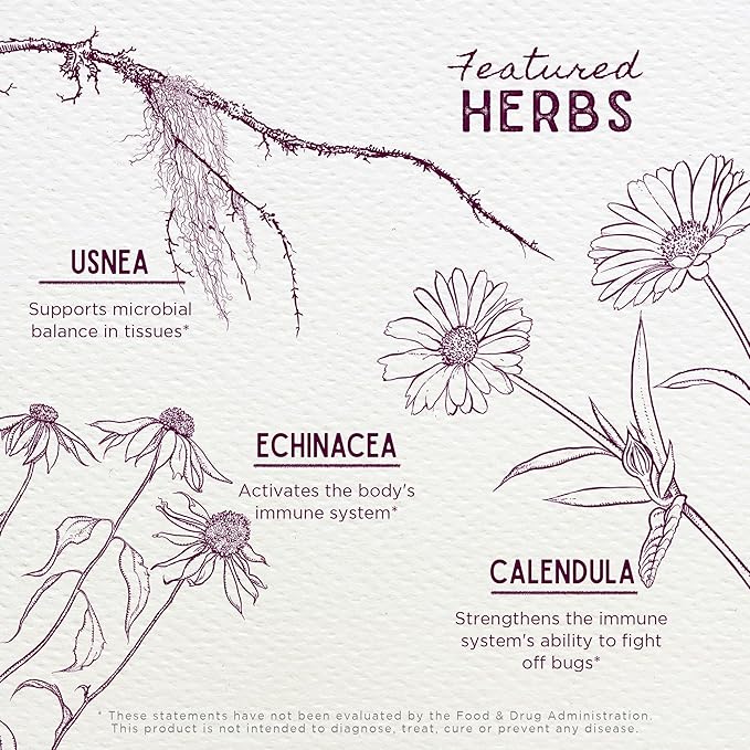 WishGarden Herbs Kick-It Biotic Immune Hero for Kids - Plant-Based Herbal Biotic Formula with Usnea Lichen & Echinacea, Supports Healthy Immune and Respiratory System Function, Immune Booster, 2oz