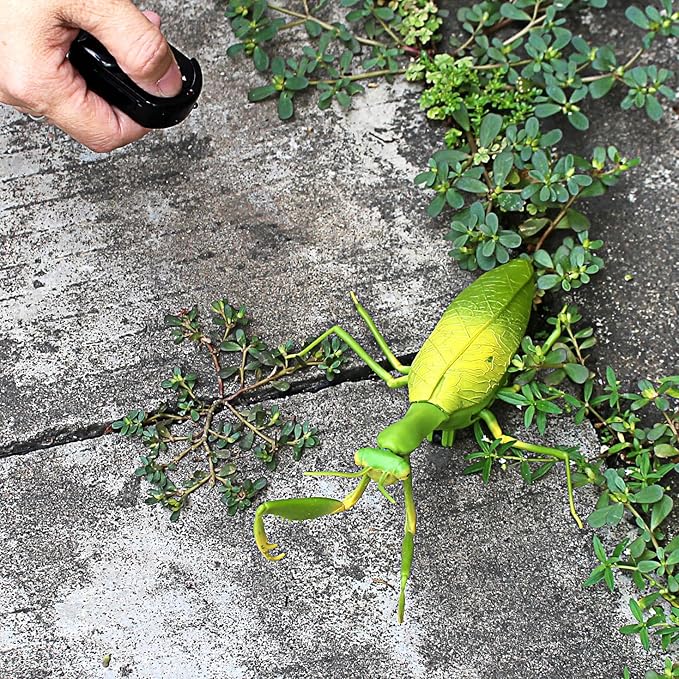 Tipmant RC Praying Mantis Toy IR Remote Control Animal Realistic Insect Car Vehicle Electric for Kids Birthday Gifts