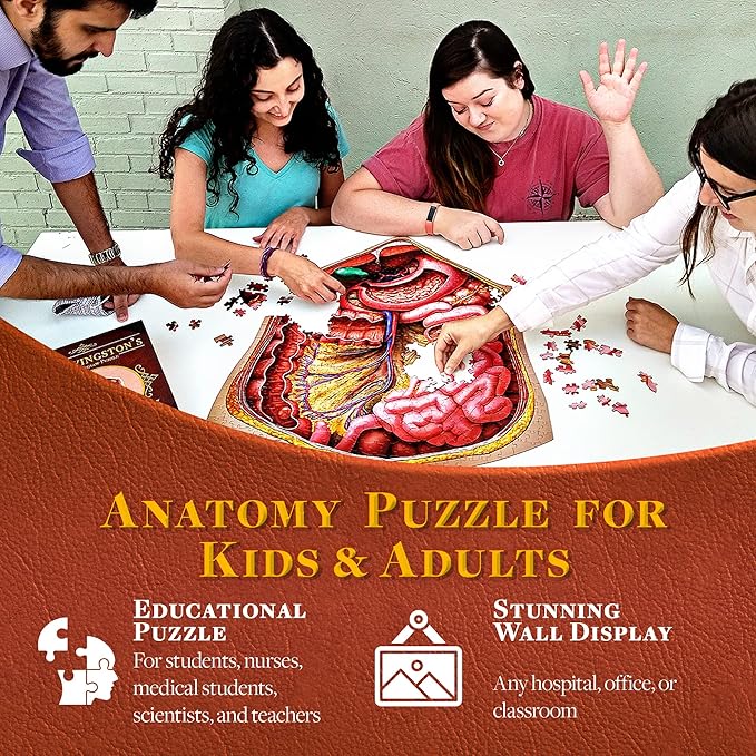 Genius Games Human Abdomen Anatomy Jigsaw Puzzle | Dr Livingston's Unique Shaped Science Puzzles, Accurate Medical Illustrations of the Body, Organs, Stomach, Liver and Intestines