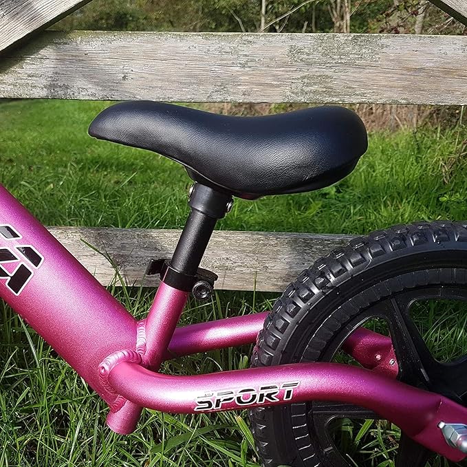 Balance Bike - Lightweight Aluminium Toddler Bike for 2, 3, 4, and 5 Year Old Boys and Girls - No Pedal Bikes for Kids with Adjustable Handlebar and Seat, EVA Tires - Training Bike