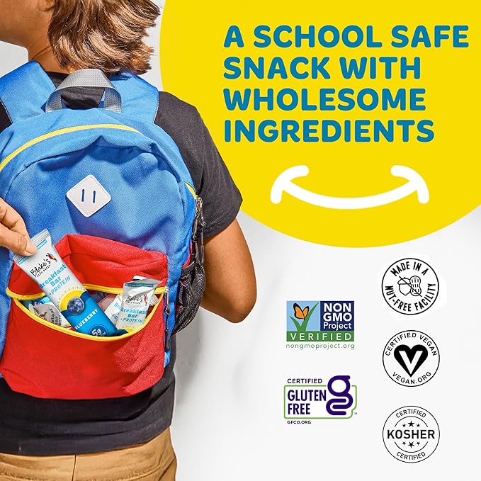 Blake's Seed Based Breakfast Bars with Protein — Blueberry (24 Count), 5g Clean Plant-Based Protein, Gluten Free, Nut Free, Dairy Free & Vegan, Healthy Snacks for Kids or Adults, School Safe