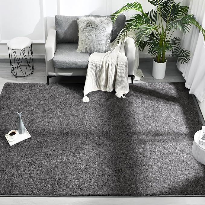 FlyDOIT Area Rugs for Bedroom Living Room, 4x6 Dark Grey Super Soft Comfy Thickened Memory-Foam Indoor Carpets, Modern Aesthetic Minimalist Carpet for Boys Girls Adults Apartment Nursery Home Décor