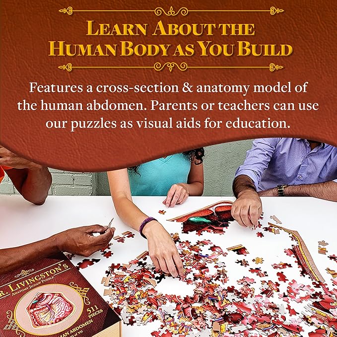 Genius Games Human Abdomen Anatomy Jigsaw Puzzle | Dr Livingston's Unique Shaped Science Puzzles, Accurate Medical Illustrations of the Body, Organs, Stomach, Liver and Intestines