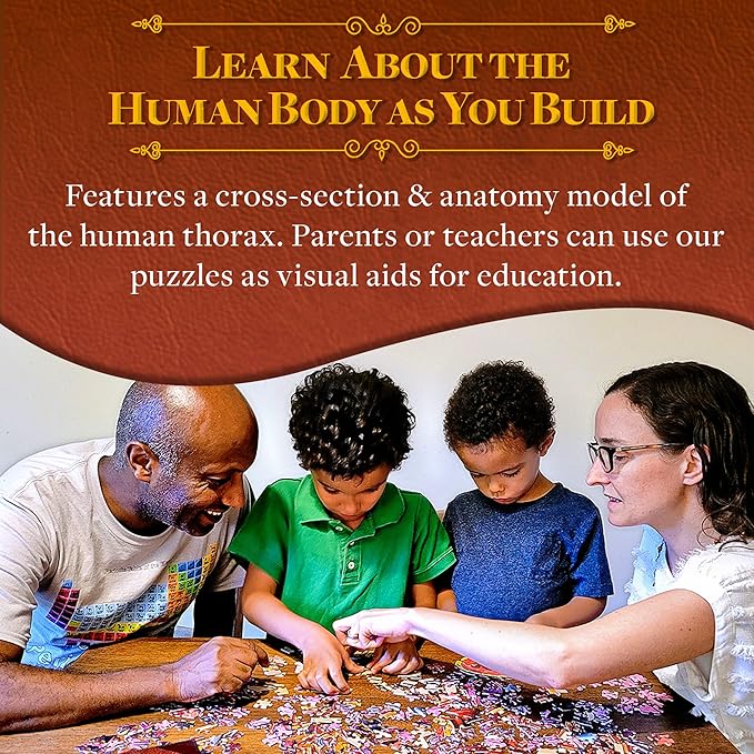 Human Thorax Anatomy Puzzle - Adult Jigsaw Puzzles Unique Gifts for Kids, Nurses, Doctors, Medical Students, Educational Science - 411 Piece Teen Floor Puzzle - Genius Games Dr. Livingston Body Model