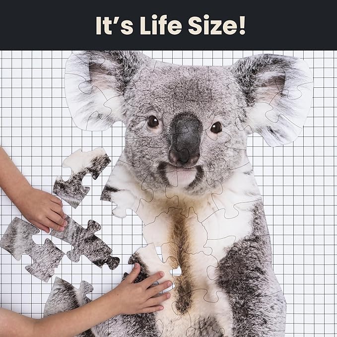 50 Piece Trivia Floor Jigsaw Puzzle - Life Size Koala - Educational Trivia On Each Piece – Fun Gift for Kids Enjoyable for Adults, Ages 3+ XL Puzzle Size Assembled 24" x 32.5" - Made in USA
