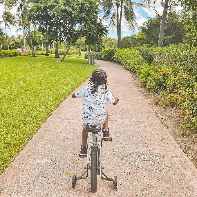 JOYSTAR Whizz Kids Bike 12 14 16 18 Inch Kids' Bicycle for Toddler and Kids Ages 2-9 Years Old, BMX Style Boys Bike with Training Wheels, Children Bicycles, Multiple Colors